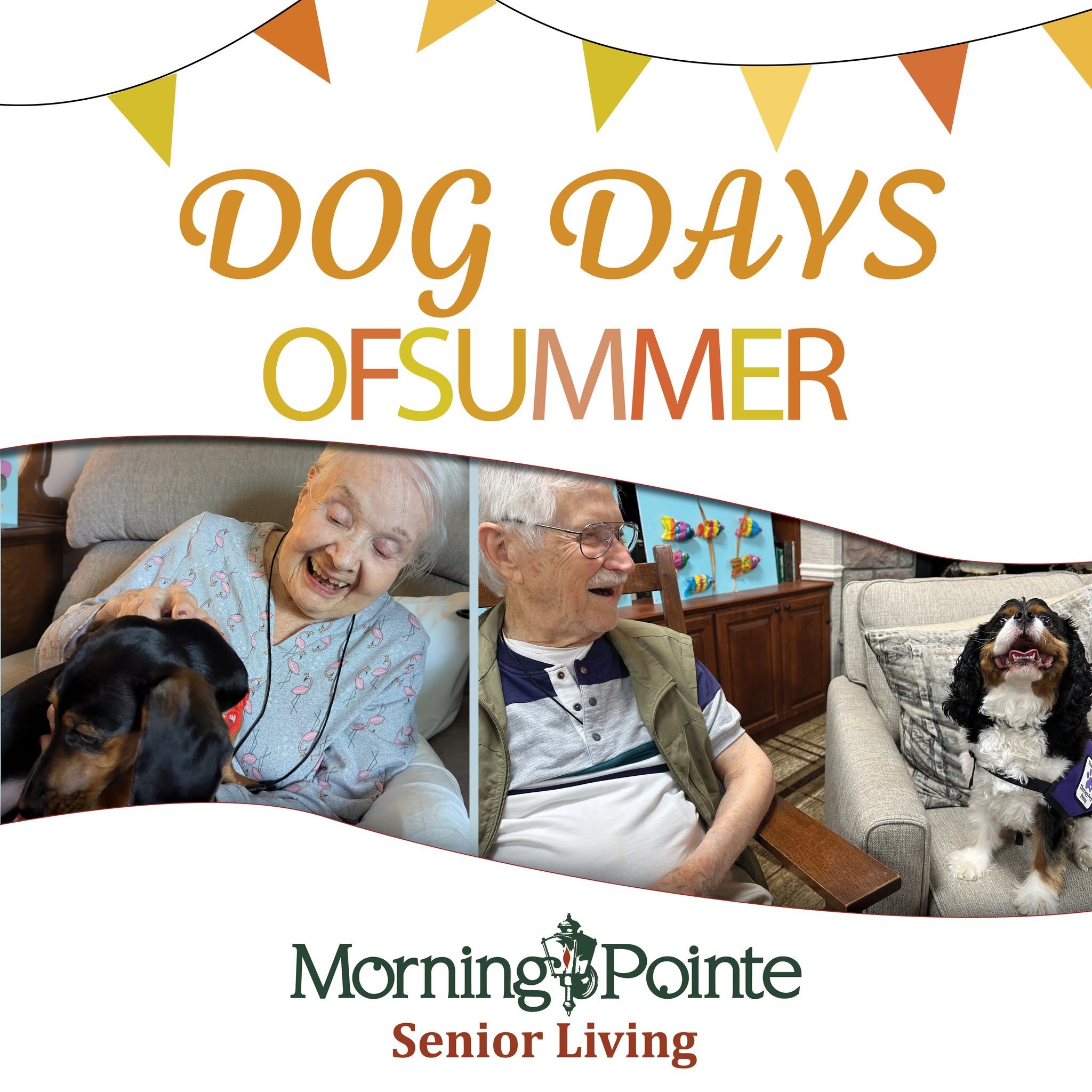 Morning Pointe of Franklin Dog Days of Summer Family Event Supporting Local Animal Shelter.
