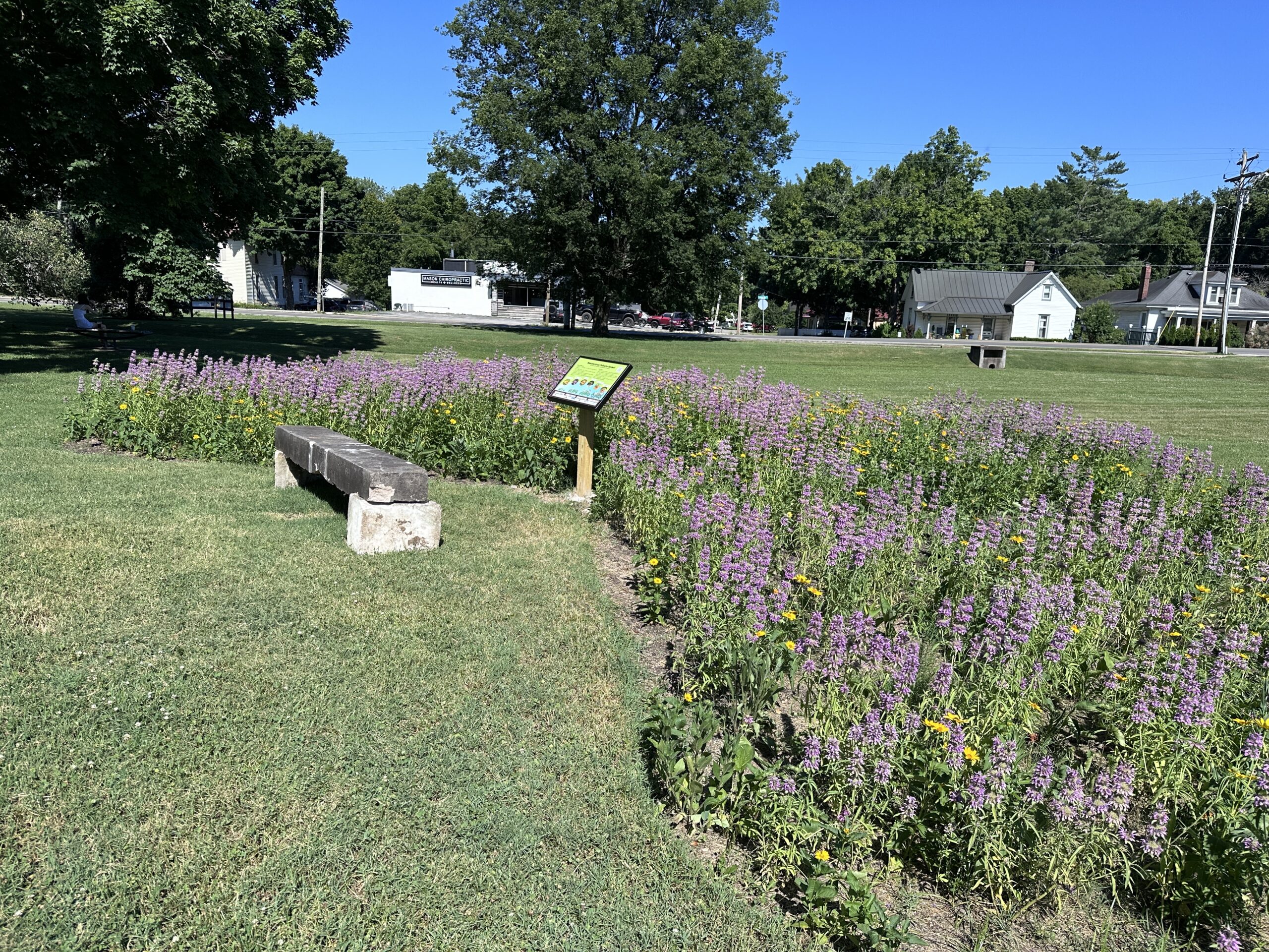 TEC pollinator garden with native flowers outside Williamson County Public Library in Franklin, Tennessee