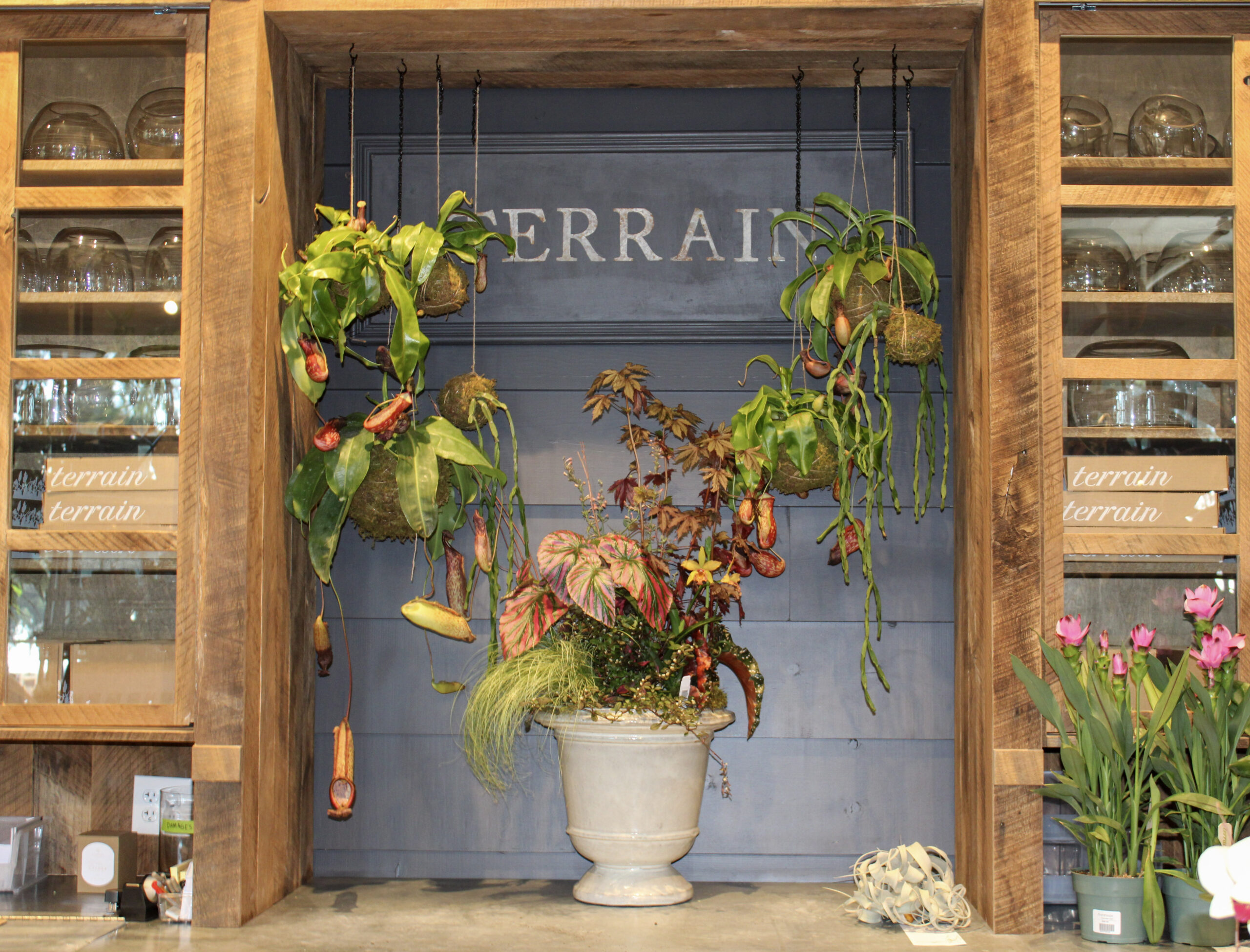 Plant display inside Terrain at Anthropologie in The Factory at Franklin, Tennessee