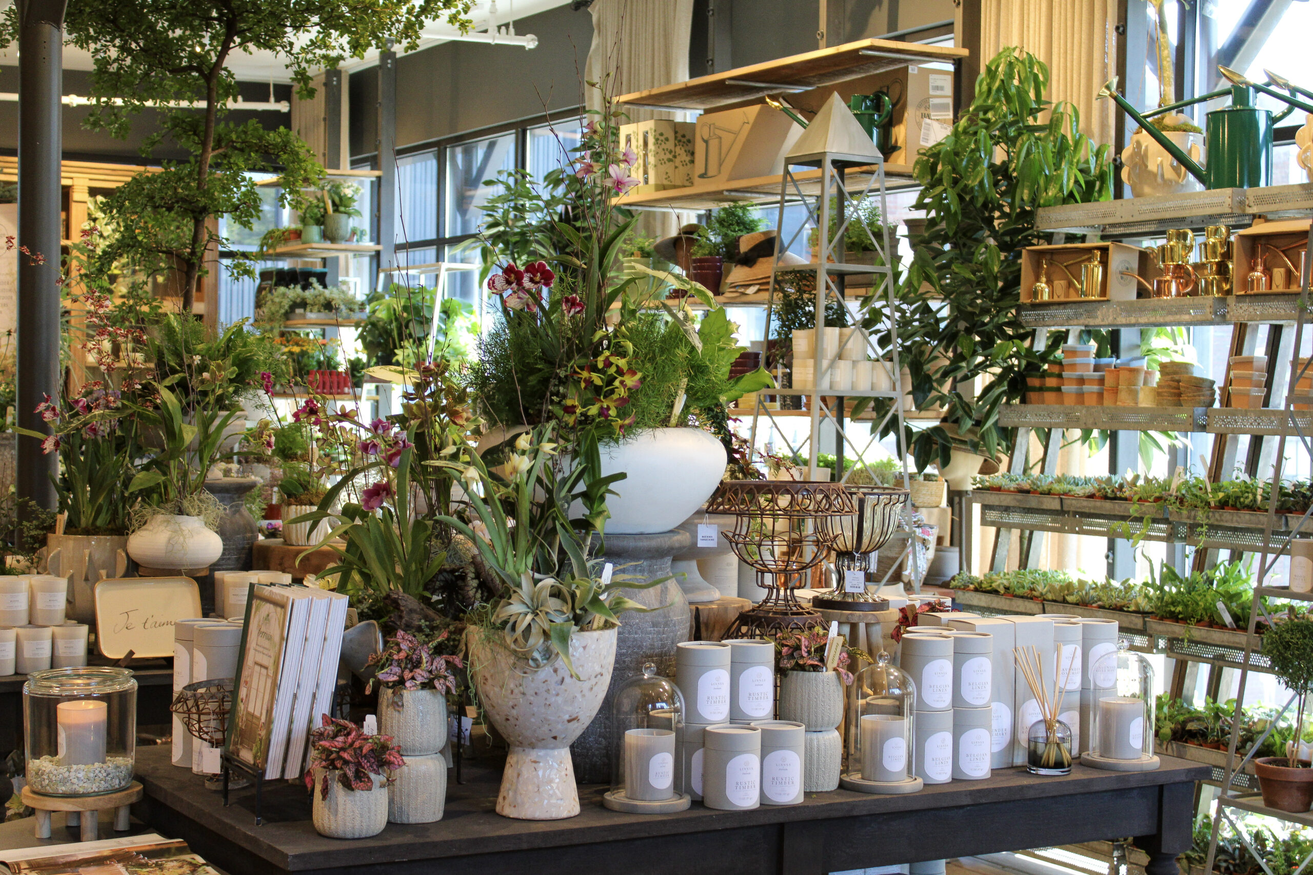Indoor plants, candles, pottery and garden merchandise displayed at Terrain at The Factory at Franklin