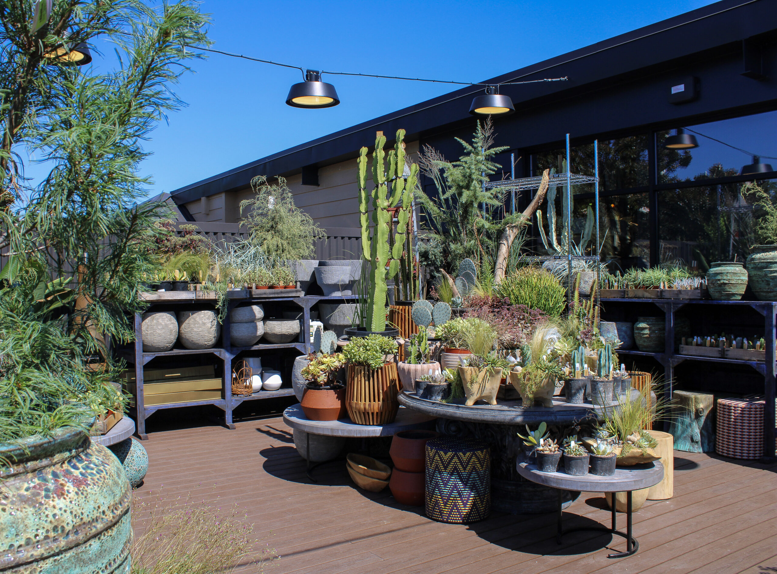 Succulents, cacti, grasses and planters displayed in the outdoor nursery at Terrain at The Factory at Franklin