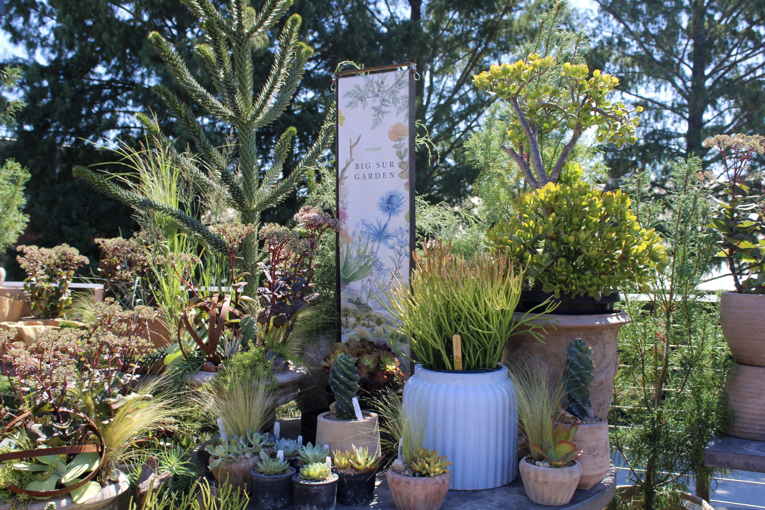 Outdoor plants and planters displayed at Terrain at The Factory at Franklin in Franklin, Tennessee