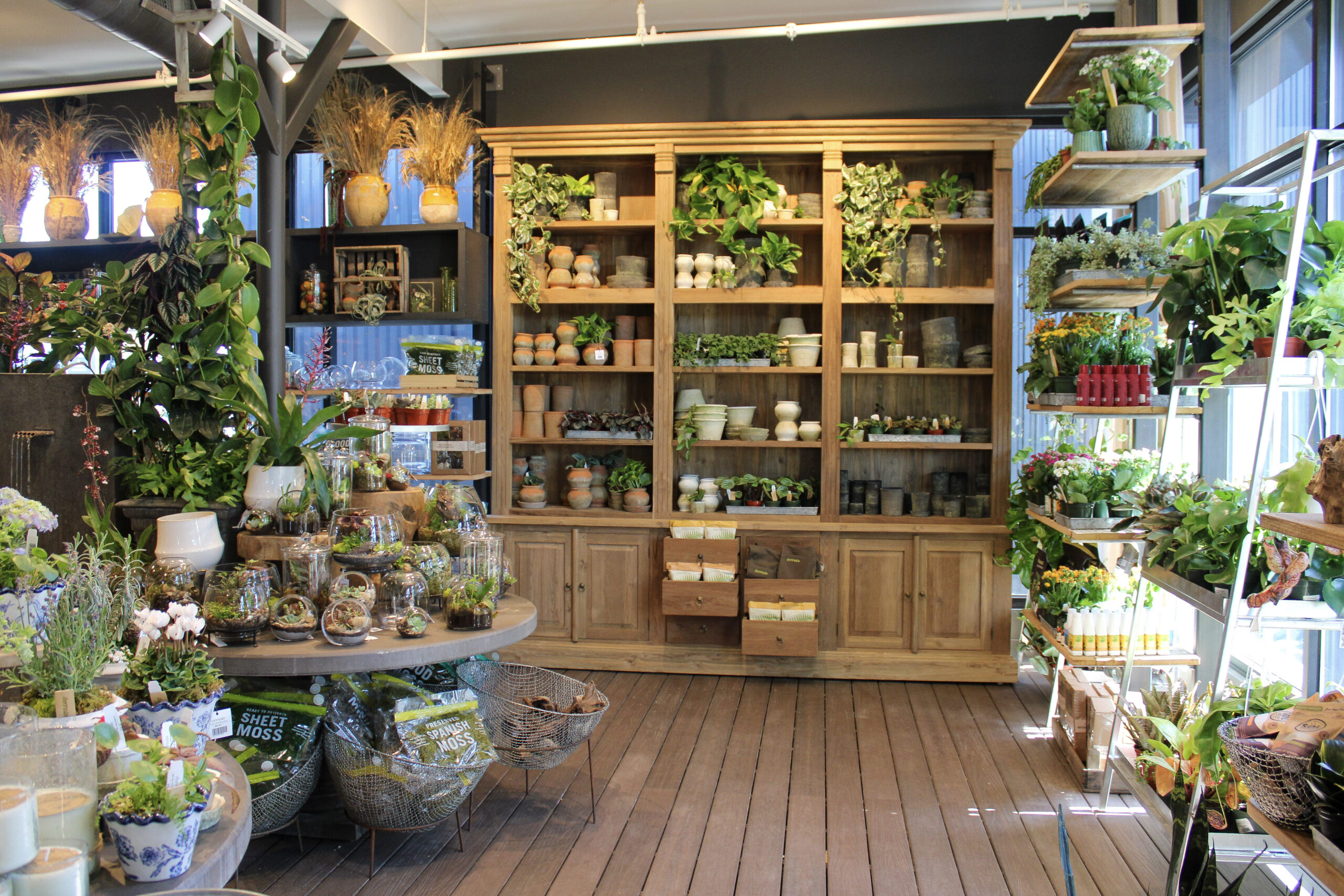 Indoor plant and terrarium display area at Terrain at The Factory at Franklin