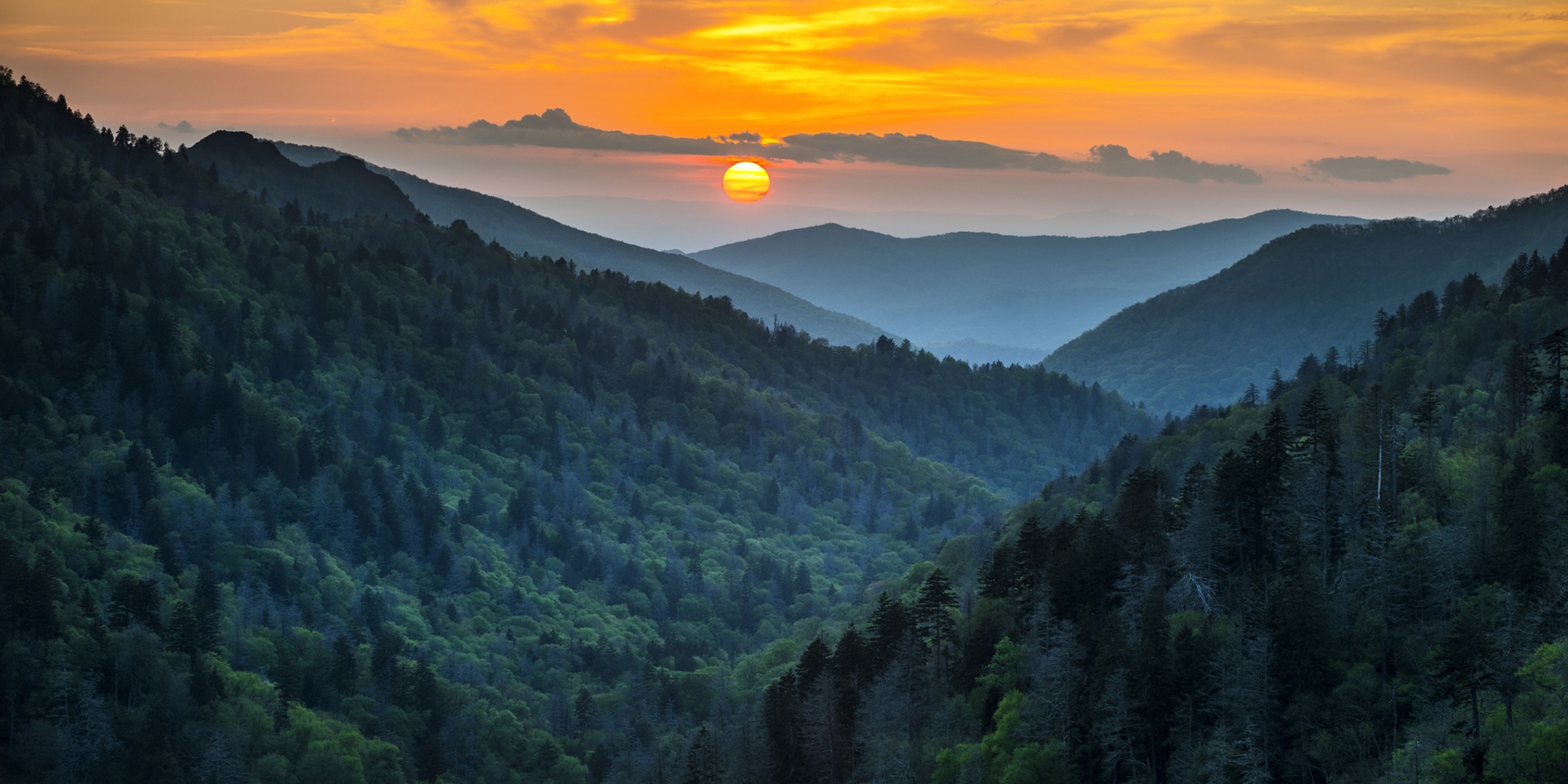 Rarity Mountain Campbell County, East Tennessee