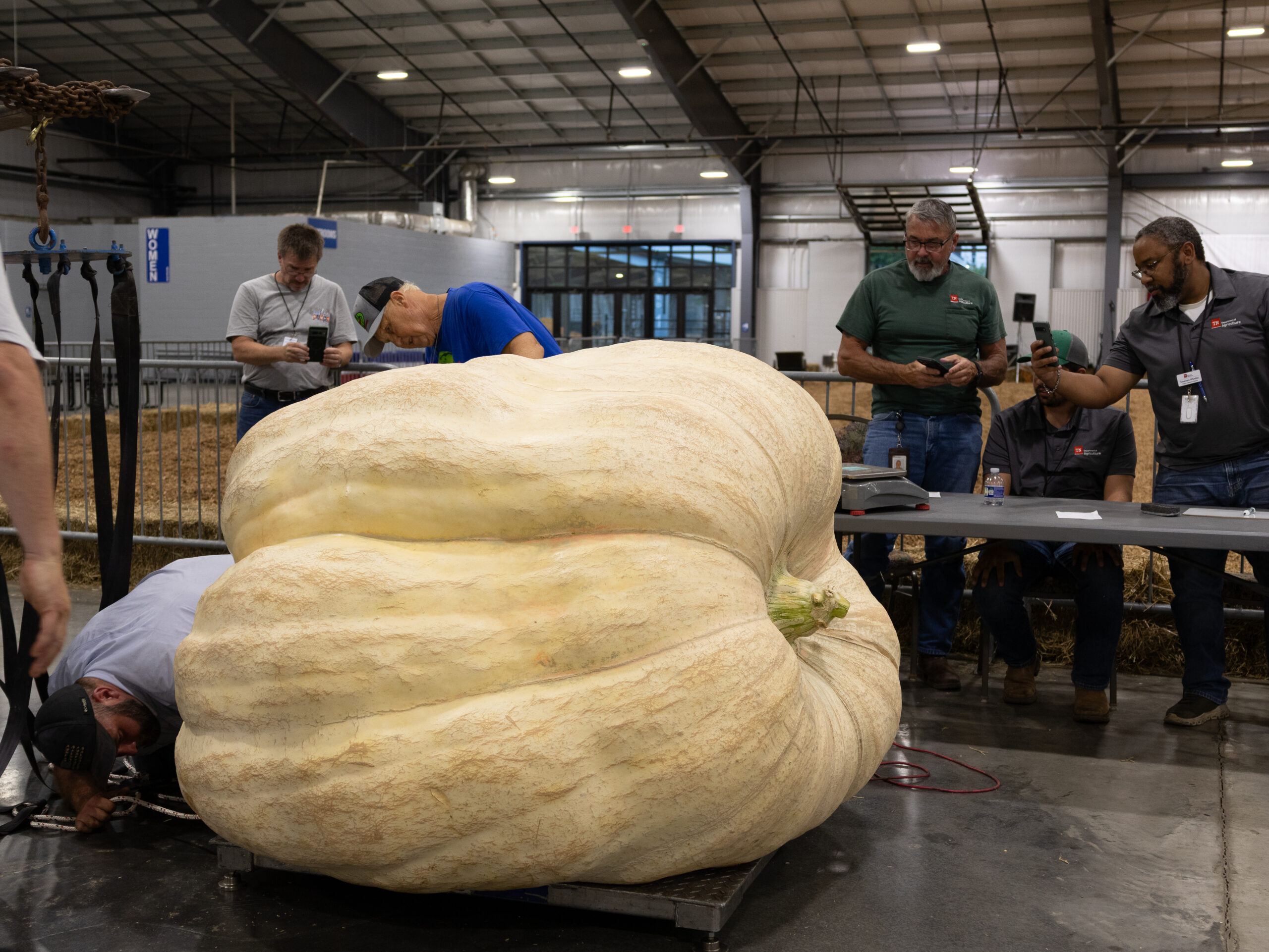 The Nashville Fair Pumpkin_Weigh_Photo.