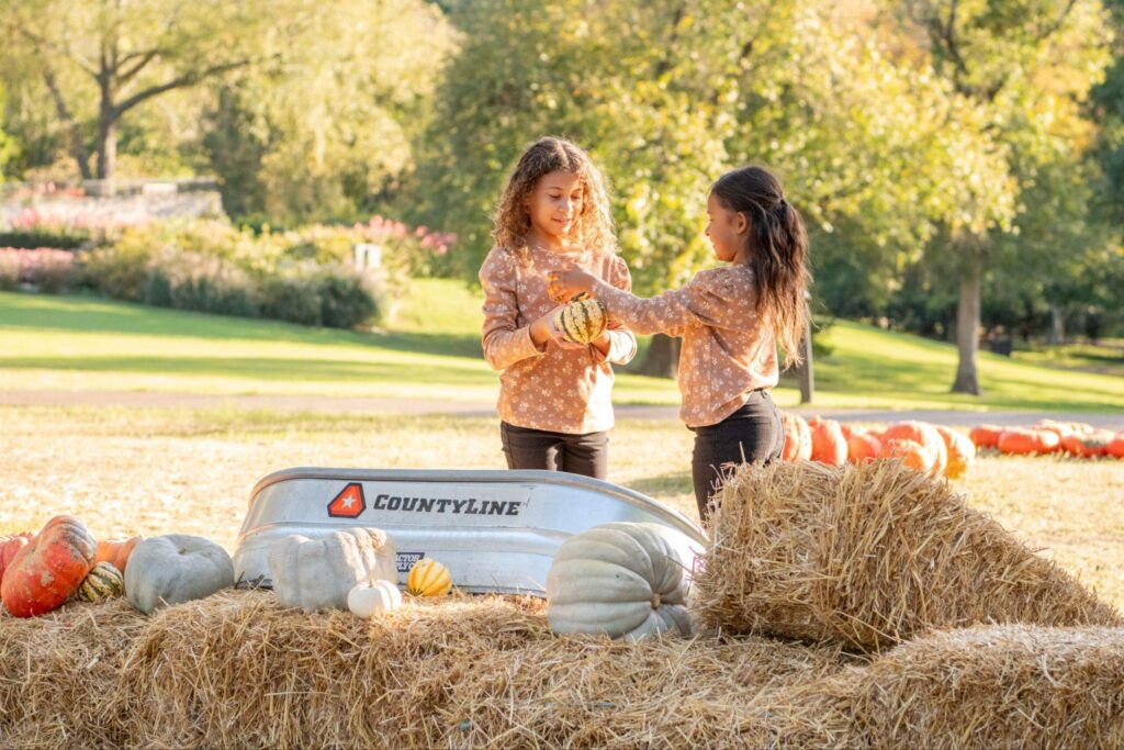 Cheekwood Harvest