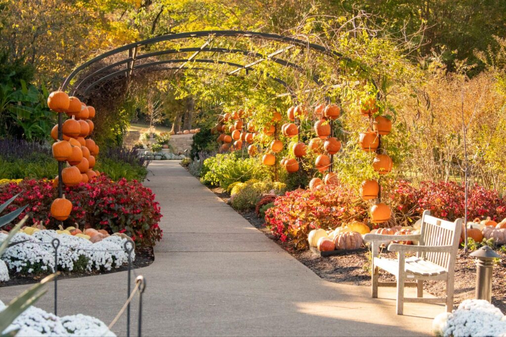 Cheekwood Harvest in Nashville, TN