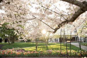 Cheekwood in Bloom in Nashville, TN