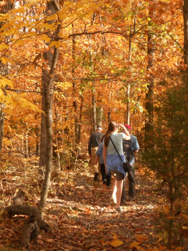 Fall Color Hikes in Brentwood, TN at Owl's Hill Nature Sanctuary.