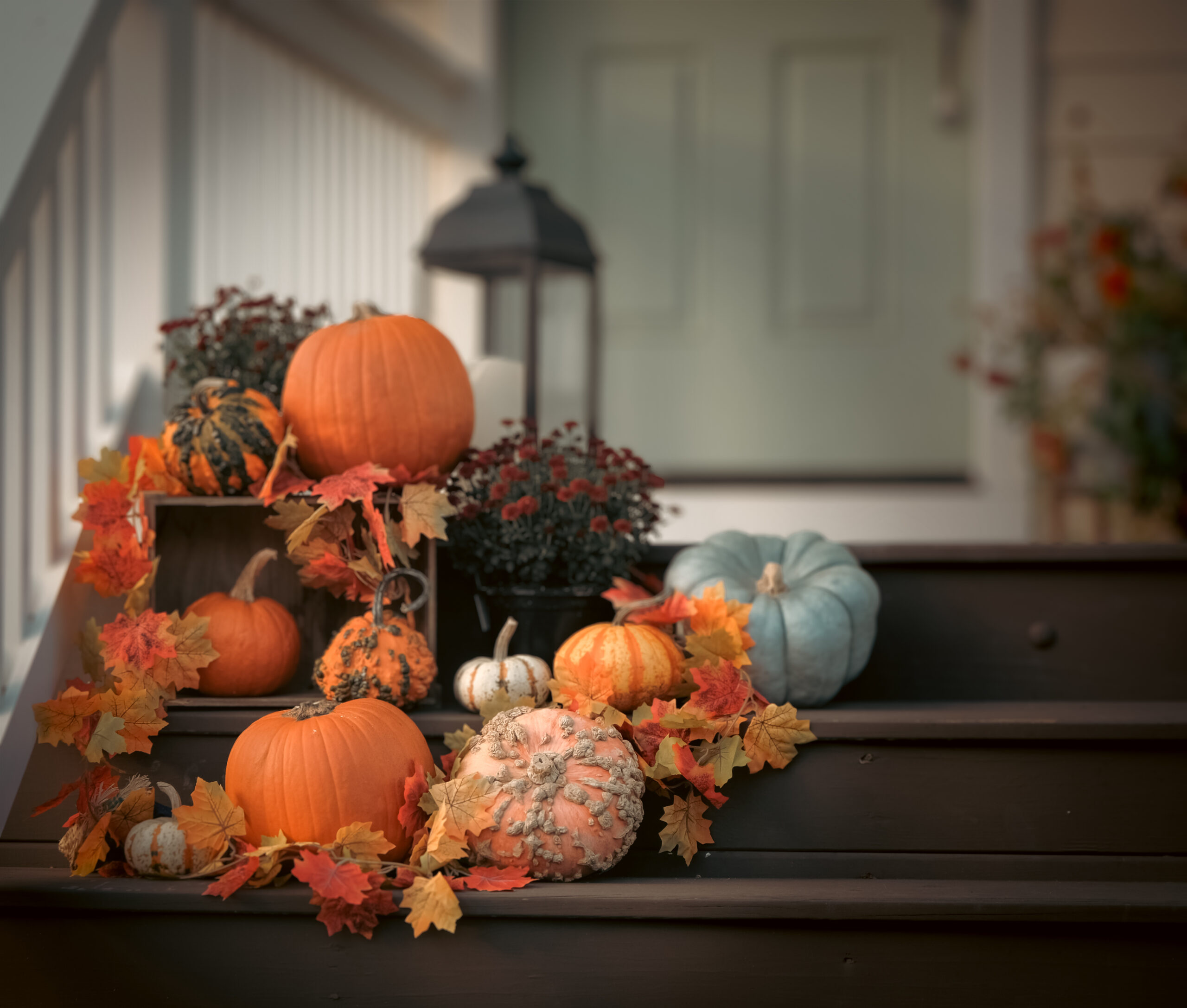 Fall porch decorated in Franklin, TN, with pumpkins, gourds, autumn leaves, mums, and a lantern.