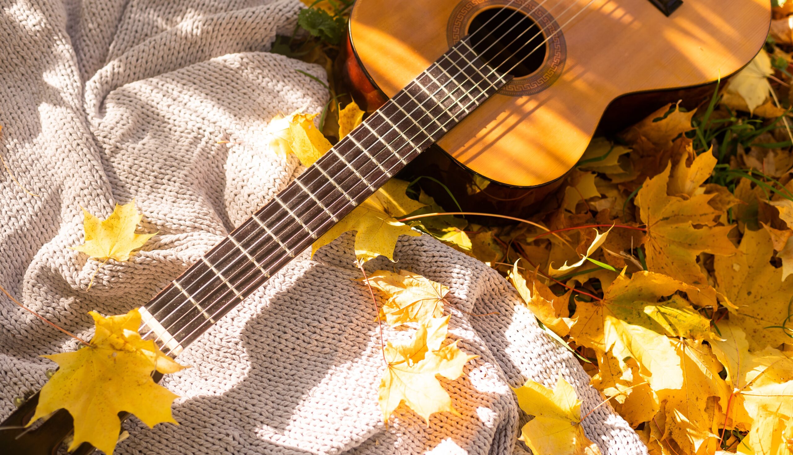 Guitar for live music performance with colorful fall leaves in Franklin and Williamson County, Tennessee.