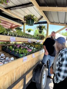 Nolensville Farmers Market in Nolensville, TN
