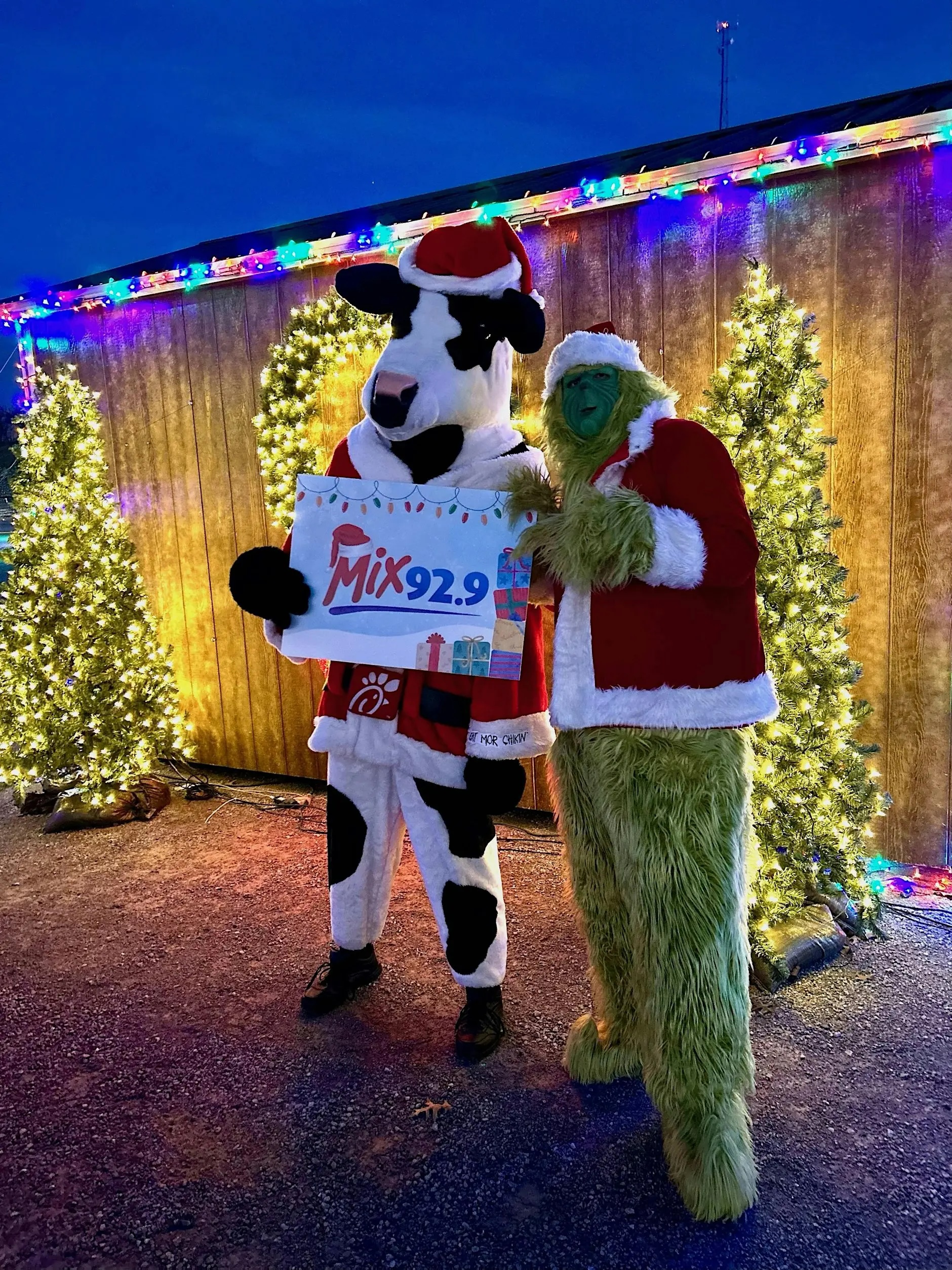 2026 FrankTown Festival of Lights in Franklin, TN, a holiday light show 03.
