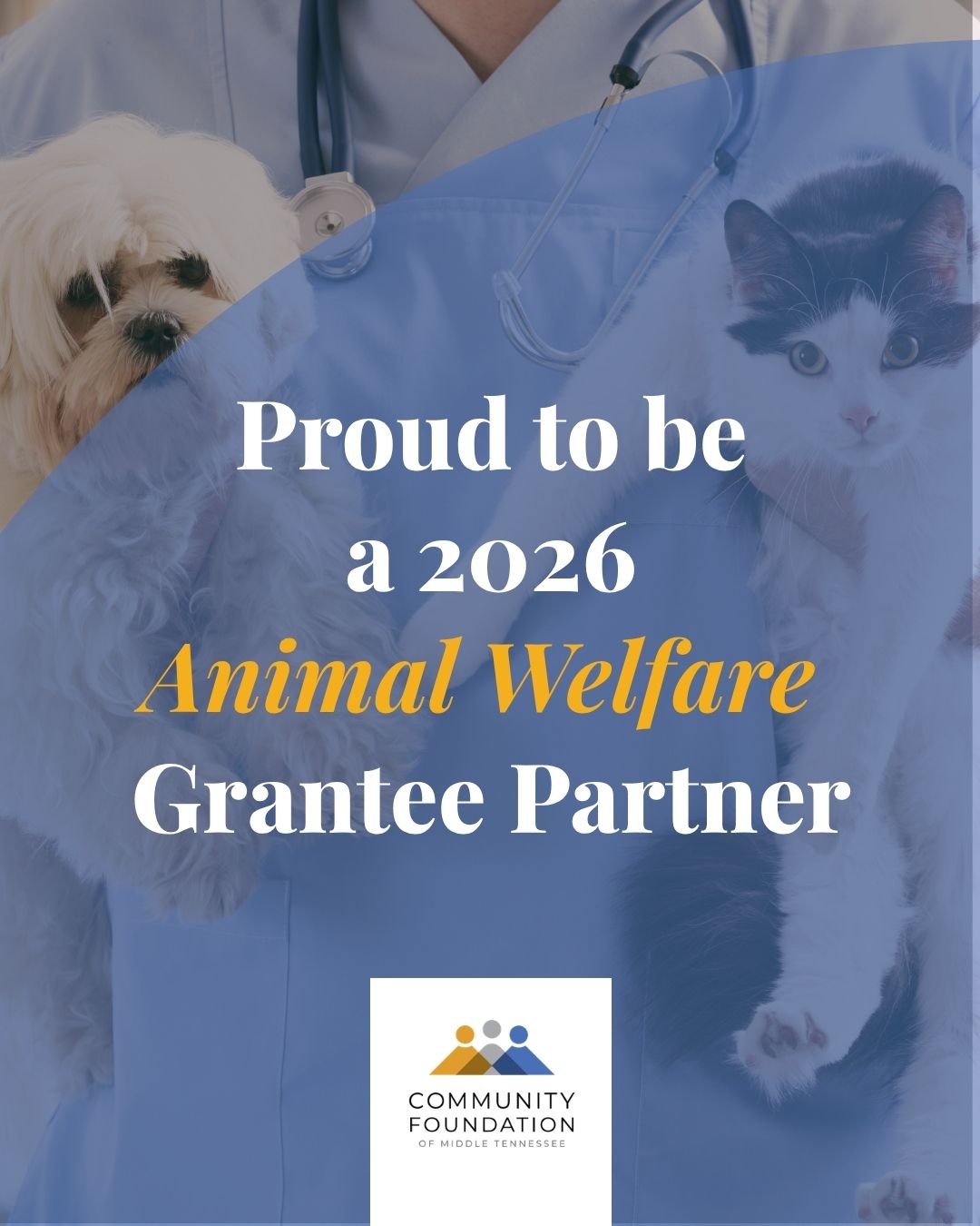 Animal-Welfare-Social-Graphic_CFMT-Grantee-Toolkit.jpg