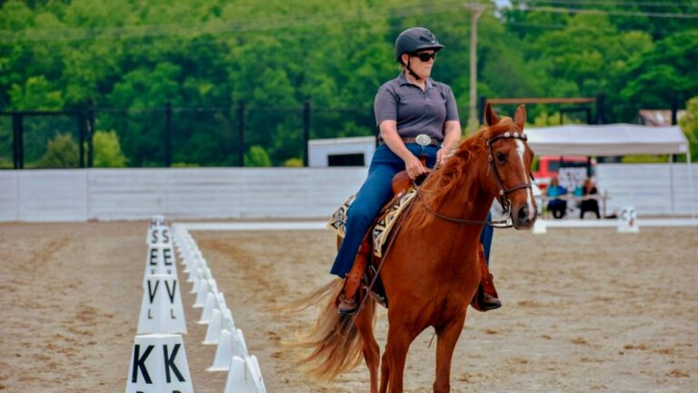 CTDA Horse Show at the Tractor Supply Co. Arena.