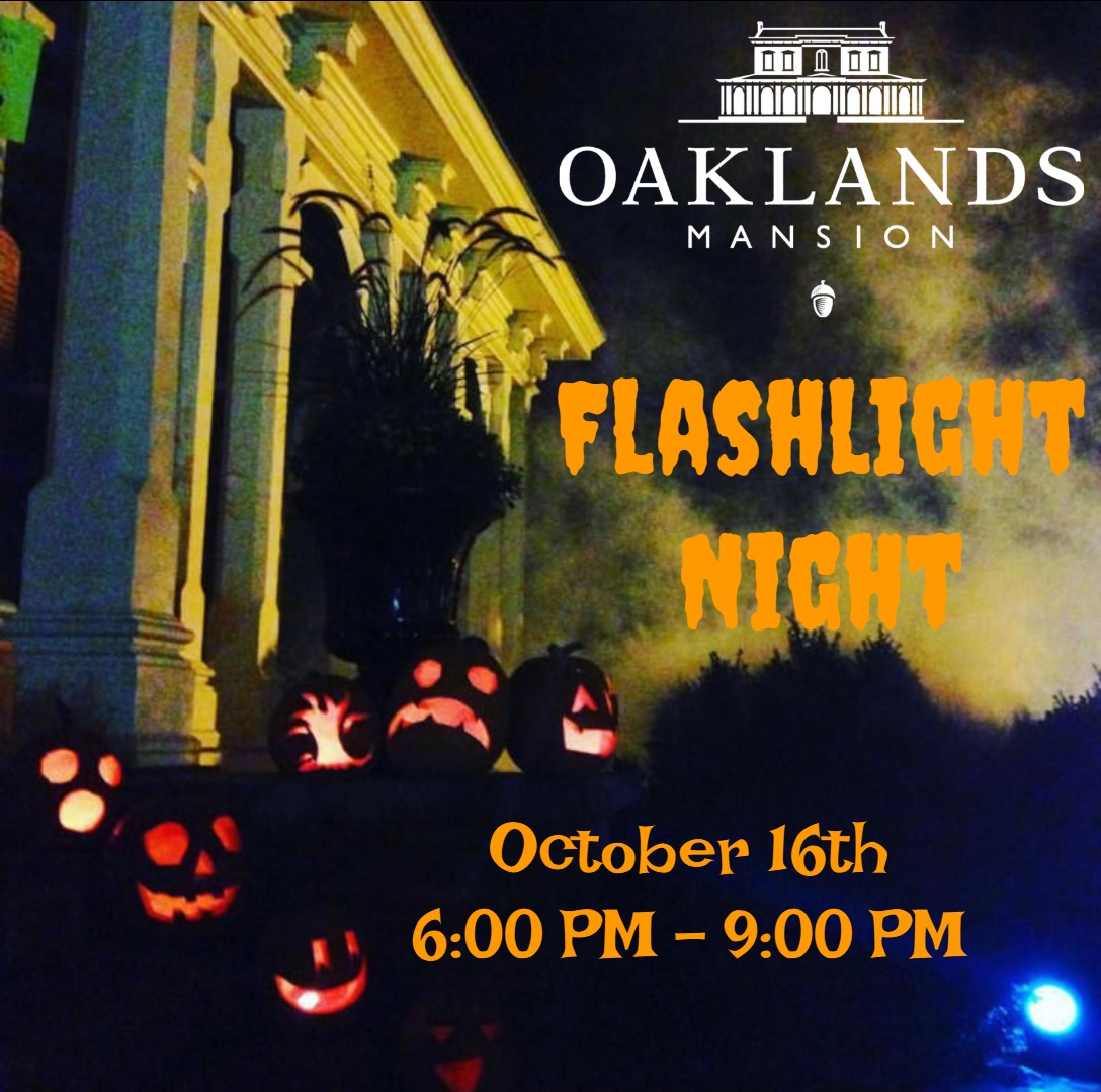 Oaklands Mansion Flashlight Night Family Frendly Event.