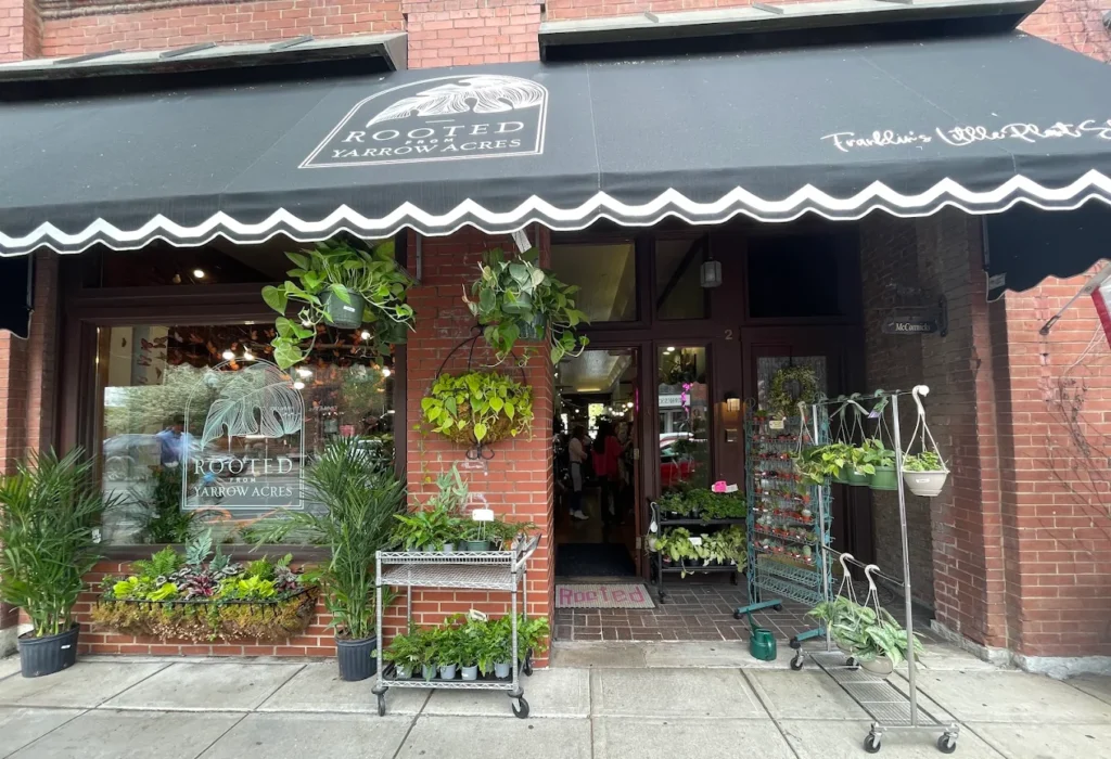 Rooted from Yarrow Acres Franklin, Tennessee, potted plants and home decor